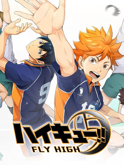 Haikyu Fly High