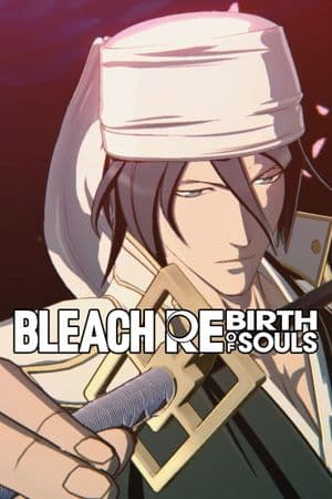 Bleach Soul Resonance
